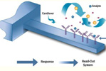 PZT cantilever sensor - Mutharasan